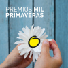 Premios Mil Primaveras 2019