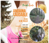 Portada da andaina saidable pola Ruta do Tambre