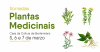 Cartel das xornadas sobre as plantas medicinais