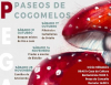 Cartaz "Paseos dos cogomelos"