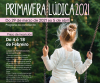 cartel primavera ludica 