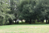 Imaxe do parque do Ameneiral