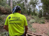 Comezan os traballos de limpeza subsidiaria en parcelas incluídas na rede de faixas secundarias para protexer ás persoas e bens de posibles lumes forestais